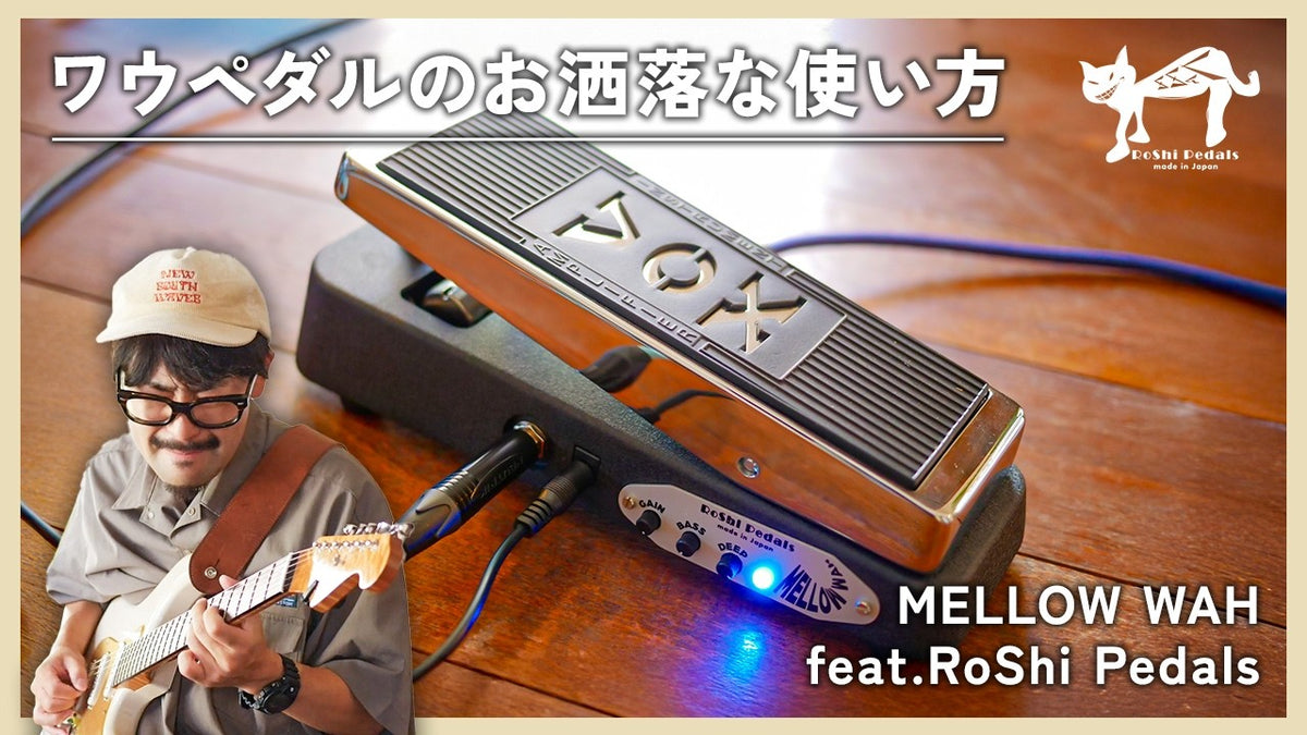 動画がロードされます。